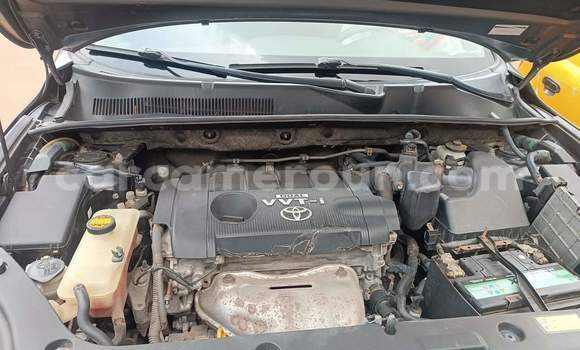 Buy Used Toyota RAV4 Brown Car in Yaounde in Central Cameroon Buy Used Toyota RAV4 Brown Car in Yaounde in Central Cameroon