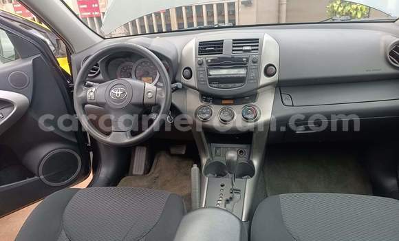 Buy Used Toyota RAV4 Brown Car in Yaounde in Central Cameroon Buy Used Toyota RAV4 Brown Car in Yaounde in Central Cameroon