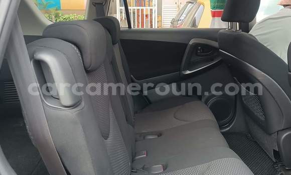 Buy Used Toyota RAV4 Brown Car in Yaounde in Central Cameroon Buy Used Toyota RAV4 Brown Car in Yaounde in Central Cameroon