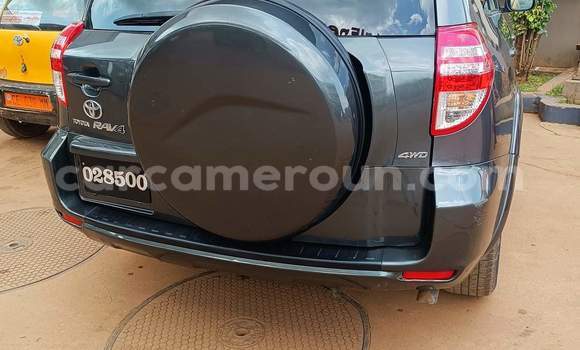 Buy Used Toyota RAV4 Brown Car in Yaounde in Central Cameroon Buy Used Toyota RAV4 Brown Car in Yaounde in Central Cameroon