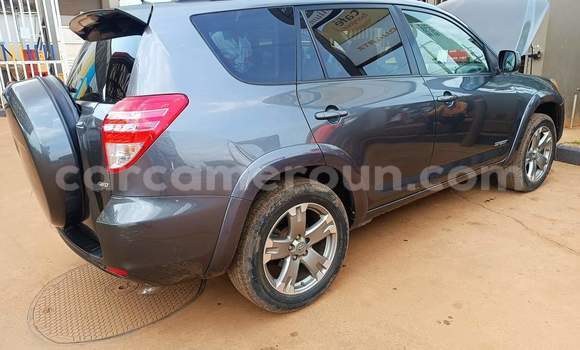 Buy Used Toyota RAV4 Brown Car in Yaounde in Central Cameroon Buy Used Toyota RAV4 Brown Car in Yaounde in Central Cameroon