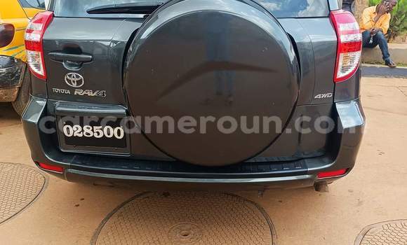 Buy Used Toyota RAV4 Brown Car in Yaounde in Central Cameroon Buy Used Toyota RAV4 Brown Car in Yaounde in Central Cameroon