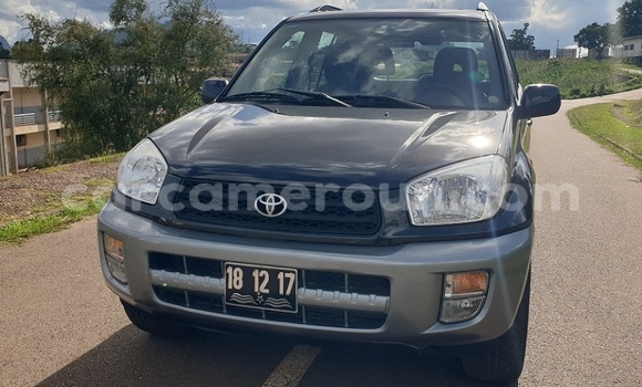 Acheter Occasion Voiture Toyota RAV4 Noir à Yaoundé, Central Cameroon Acheter Occasion Voiture Toyota RAV4 Noir à Yaoundé, Central Cameroon