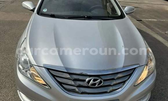 Acheter Occasion Voiture Hyundai Sonata Gris à Douala, Littoral Cameroon Acheter Occasion Voiture Hyundai Sonata Gris à Douala, Littoral Cameroon