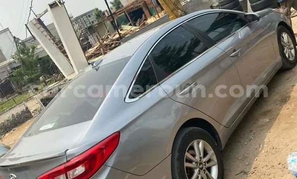 Acheter Import Voiture Hyundai Sonata Gris à Douala, Littoral Cameroon Acheter Import Voiture Hyundai Sonata Gris à Douala, Littoral Cameroon