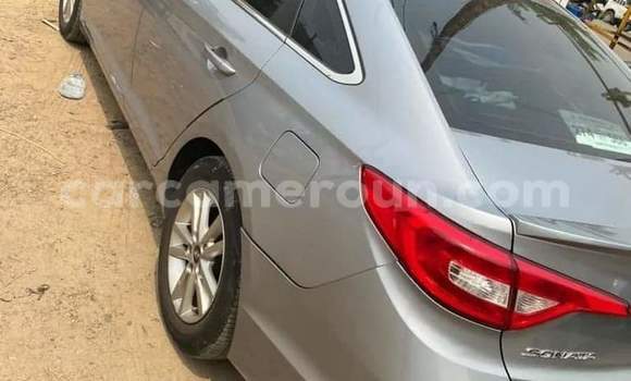 Acheter Import Voiture Hyundai Sonata Gris à Douala, Littoral Cameroon Acheter Import Voiture Hyundai Sonata Gris à Douala, Littoral Cameroon
