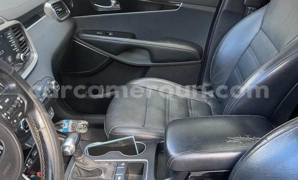 Acheter Import Voiture Kia Sportage Gris à Douala, Littoral Cameroon Acheter Import Voiture Kia Sportage Gris à Douala, Littoral Cameroon