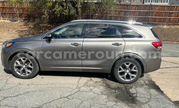 Acheter Import Voiture Kia Sportage Gris à Douala, Littoral Cameroon Acheter Import Voiture Kia Sportage Gris à Douala, Littoral Cameroon