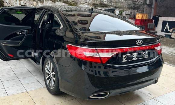 Buy Import Hyundai Grandeur Black Car in Douala in Littoral Cameroon Buy Import Hyundai Grandeur Black Car in Douala in Littoral Cameroon
