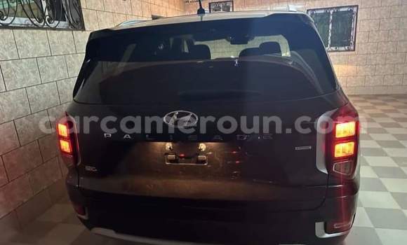 Acheter Import Voiture Hyundai Santa Fe Noir à Douala, Littoral Cameroon Acheter Import Voiture Hyundai Santa Fe Noir à Douala, Littoral Cameroon