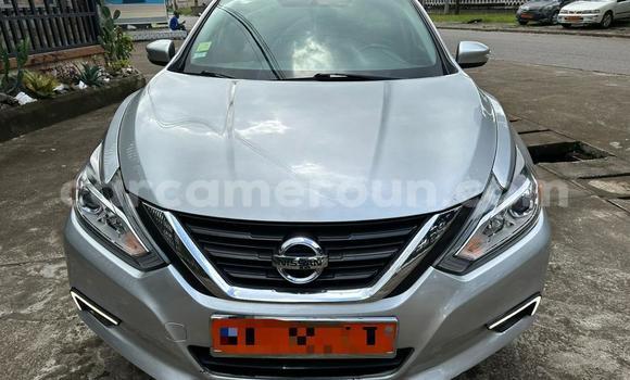 Acheter Occasion Voiture Nissan Altima Gris à Douala, Littoral Cameroon