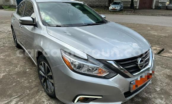 Buy Used Nissan Altima Silver Car in Douala in Littoral Cameroon Buy Used Nissan Altima Silver Car in Douala in Littoral Cameroon