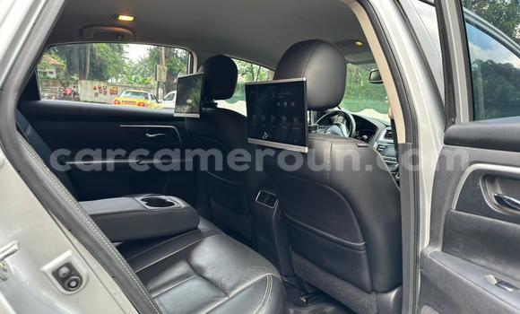 Buy Used Nissan Altima Silver Car in Douala in Littoral Cameroon Buy Used Nissan Altima Silver Car in Douala in Littoral Cameroon