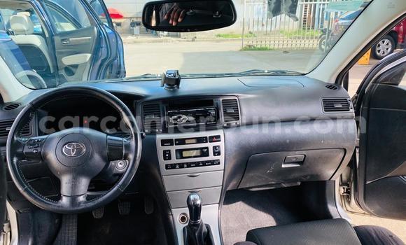 Acheter Import Voiture Toyota Corolla Gris à Douala, Littoral Cameroon Acheter Import Voiture Toyota Corolla Gris à Douala, Littoral Cameroon