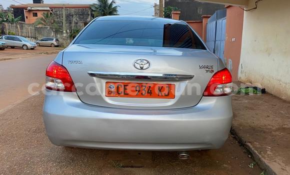 Buy Used Toyota Yaris Ativ Silver Car in Yaounde in Central Cameroon Buy Used Toyota Yaris Ativ Silver Car in Yaounde in Central Cameroon