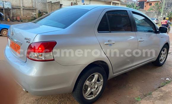 Buy Used Toyota Yaris Ativ Silver Car in Yaounde in Central Cameroon Buy Used Toyota Yaris Ativ Silver Car in Yaounde in Central Cameroon