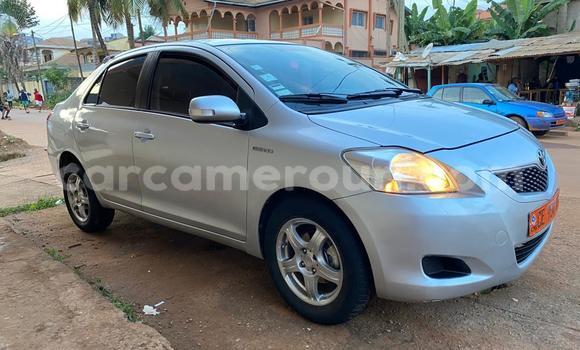 Buy Used Toyota Yaris Ativ Silver Car in Yaounde in Central Cameroon Buy Used Toyota Yaris Ativ Silver Car in Yaounde in Central Cameroon