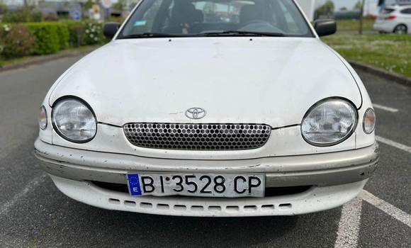 Acheter Import Voiture Toyota Corolla Blanc à Douala, Littoral Cameroon