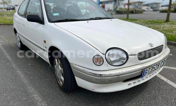Acheter Import Voiture Toyota Corolla Blanc à Douala, Littoral Cameroon Acheter Import Voiture Toyota Corolla Blanc à Douala, Littoral Cameroon