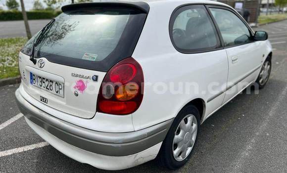 Acheter Import Voiture Toyota Corolla Blanc à Douala, Littoral Cameroon Acheter Import Voiture Toyota Corolla Blanc à Douala, Littoral Cameroon