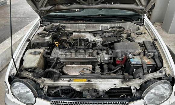 Acheter Import Voiture Toyota Corolla Blanc à Douala, Littoral Cameroon Acheter Import Voiture Toyota Corolla Blanc à Douala, Littoral Cameroon