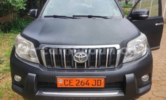 Buy Used Toyota Land Cruiser Prado Black Car in Yaounde in Central Cameroon