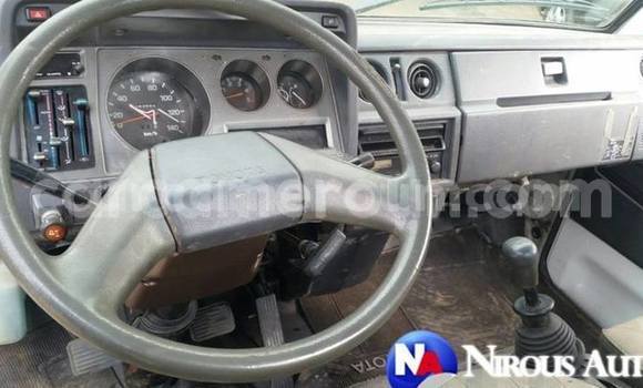 Sayi Na hannu Toyota Dyna White Mota in Douala a Ƙasar Kamaru