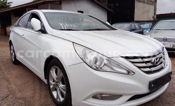 Buy Used Hyundai Sonata White Car in Yaounde in Central Cameroon Buy Used Hyundai Sonata White Car in Yaounde in Central Cameroon