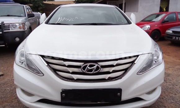 Buy Used Hyundai Sonata White Car in Yaounde in Central Cameroon Buy Used Hyundai Sonata White Car in Yaounde in Central Cameroon