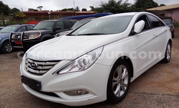 Buy Used Hyundai Sonata White Car in Yaounde in Central Cameroon Buy Used Hyundai Sonata White Car in Yaounde in Central Cameroon