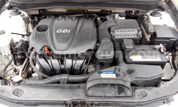 Buy Used Hyundai Sonata White Car in Yaounde in Central Cameroon Buy Used Hyundai Sonata White Car in Yaounde in Central Cameroon