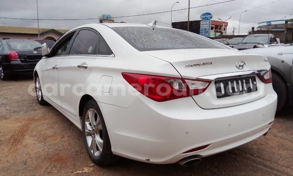 Buy Used Hyundai Sonata White Car in Yaounde in Central Cameroon Buy Used Hyundai Sonata White Car in Yaounde in Central Cameroon