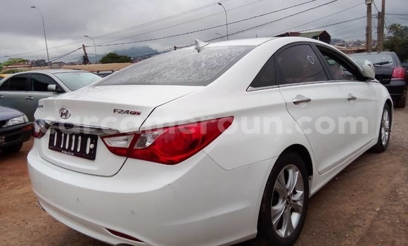 Buy Used Hyundai Sonata White Car in Yaounde in Central Cameroon Buy Used Hyundai Sonata White Car in Yaounde in Central Cameroon