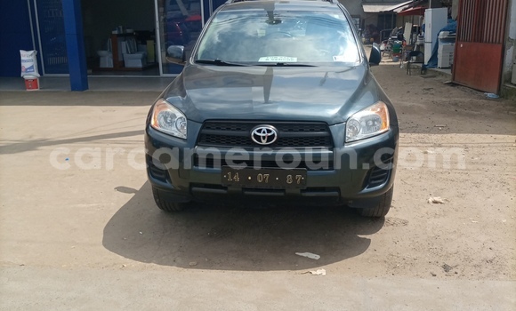 Buy New Toyota RAV4 Blue Car in Douala in Littoral Cameroon
