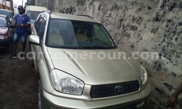 Sayi Imported Toyota RAV4 Sauran Mota in Douala a Ƙasar Kamaru