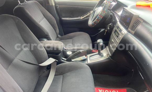 Buy Used Toyota Allex Black Car in Douala in Littoral Cameroon Buy Used Toyota Allex Black Car in Douala in Littoral Cameroon