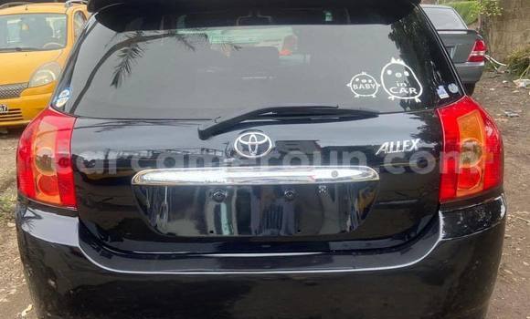 Buy Used Toyota Allex Black Car in Douala in Littoral Cameroon Buy Used Toyota Allex Black Car in Douala in Littoral Cameroon