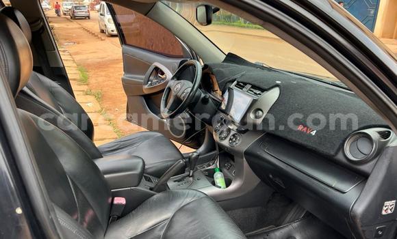 Buy Used Toyota RAV4 Black Car in Yaounde in Central Cameroon Buy Used Toyota RAV4 Black Car in Yaounde in Central Cameroon