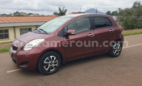 Buy Used Toyota Yaris Red Car in Yaounde in Central Cameroon Buy Used Toyota Yaris Red Car in Yaounde in Central Cameroon