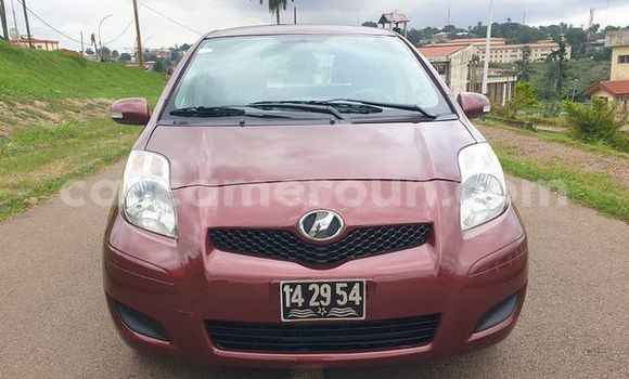 Buy Used Toyota Yaris Red Car in Yaounde in Central Cameroon Buy Used Toyota Yaris Red Car in Yaounde in Central Cameroon