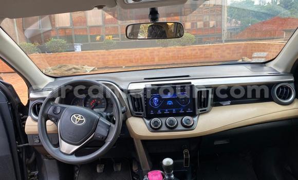 Buy Used Toyota RAV4 Black Car in Yaounde in Central Cameroon Buy Used Toyota RAV4 Black Car in Yaounde in Central Cameroon