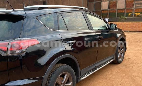 Buy Used Toyota RAV4 Black Car in Yaounde in Central Cameroon Buy Used Toyota RAV4 Black Car in Yaounde in Central Cameroon