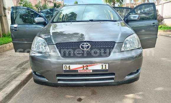 Buy Used Toyota Corolla Silver Car in Yaounde in Central Cameroon