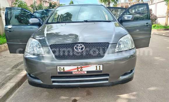 Buy Used Toyota Corolla Silver Car in Yaounde in Central Cameroon Buy Used Toyota Corolla Silver Car in Yaounde in Central Cameroon