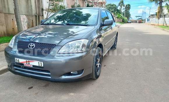 Buy Used Toyota Corolla Silver Car in Yaounde in Central Cameroon Buy Used Toyota Corolla Silver Car in Yaounde in Central Cameroon