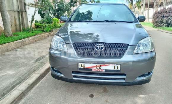 Buy Used Toyota Corolla Silver Car in Yaounde in Central Cameroon Buy Used Toyota Corolla Silver Car in Yaounde in Central Cameroon