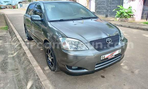 Buy Used Toyota Corolla Silver Car in Yaounde in Central Cameroon Buy Used Toyota Corolla Silver Car in Yaounde in Central Cameroon