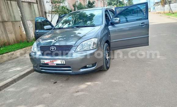 Buy Used Toyota Corolla Silver Car in Yaounde in Central Cameroon Buy Used Toyota Corolla Silver Car in Yaounde in Central Cameroon