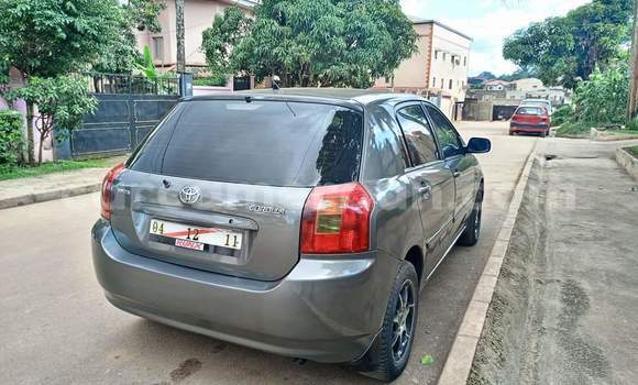 Buy Used Toyota Corolla Silver Car in Yaounde in Central Cameroon Buy Used Toyota Corolla Silver Car in Yaounde in Central Cameroon