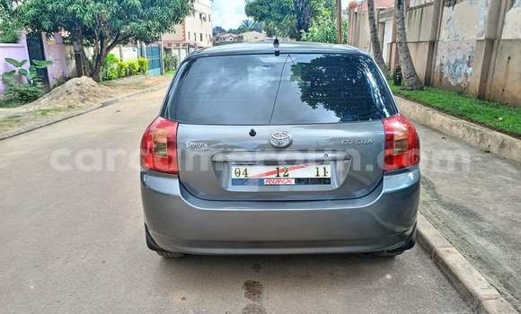 Buy Used Toyota Corolla Silver Car in Yaounde in Central Cameroon Buy Used Toyota Corolla Silver Car in Yaounde in Central Cameroon